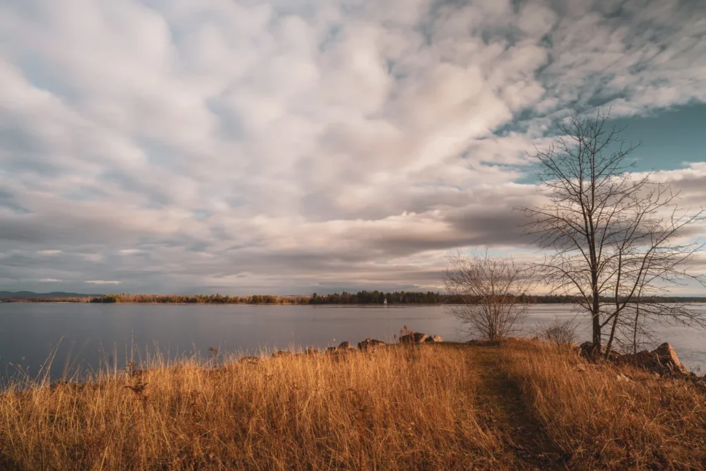 neutral density filter